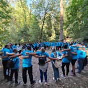 Golfinho empresa em Team Building na floresta da Mata Nacional do Bussaco.